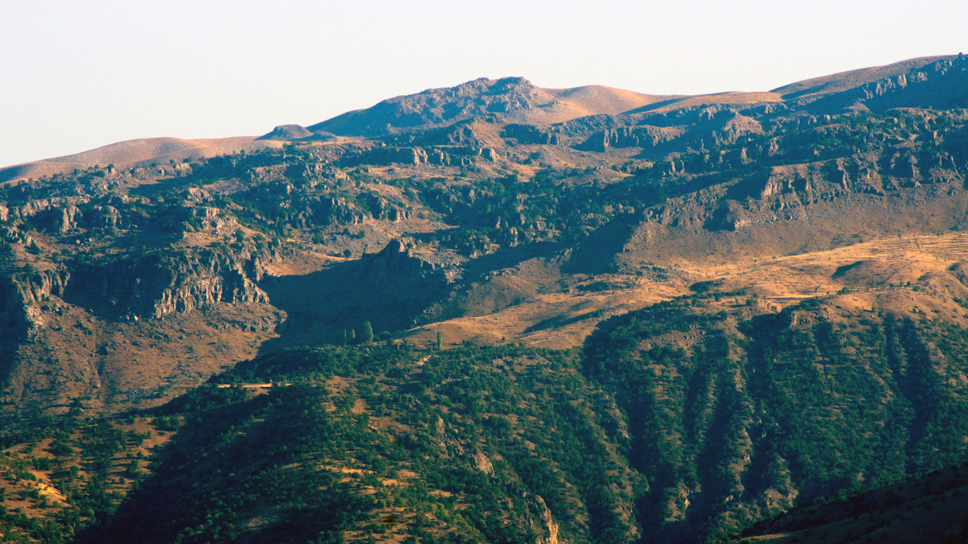 Summit of Cudi Dagh