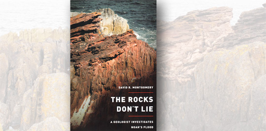 Rocks-Buchtitel